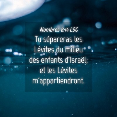 Picture 04 - Nombres 8:14 LSG - Tu sépareras les Lévites du milieu des enfants - Bible Verse Picture