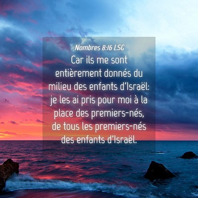 Picture 04 - Nombres 8:16 LSG - Car ils me sont entièrement donnés du milieu - Bible Verse Picture