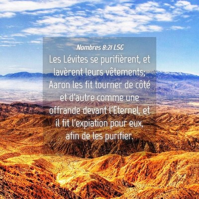 Picture 04 - Nombres 8:21 LSG - Les Lévites se purifièrent, et lavèrent leurs - Bible Verse Picture