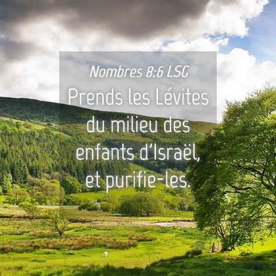 Picture 04 - Nombres 8:6 LSG - Prends les Lévites du milieu des enfants - Bible Verse Picture