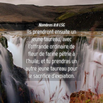 Picture 04 - Nombres 8:8 LSG - Ils prendront ensuite un jeune taureau, avec - Bible Verse Picture