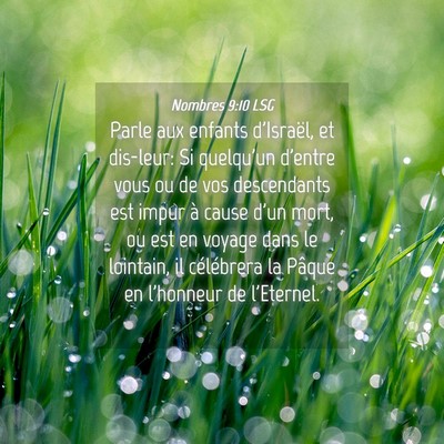 Picture 04 - Nombres 9:10 LSG - Parle aux enfants d'Israël, et dis-leur: Si - Bible Verse Picture