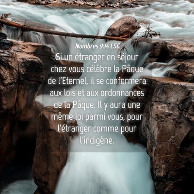 Picture 04 - Nombres 9:14 LSG - Si un étranger en séjour chez vous célèbre la - Bible Verse Picture