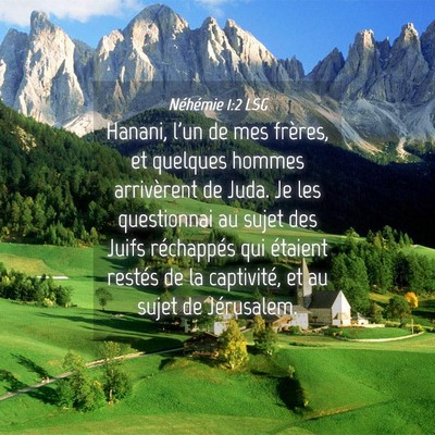 Picture 04 - Néhémie 1:2 LSG - Hanani, l'un de mes frères, et quelques hommes - Bible Verse Picture