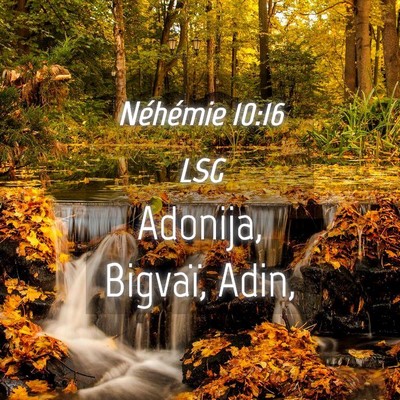 Picture 04 - Néhémie 10:16 LSG - Adonija, Bigvaï, - Bible Verse Picture