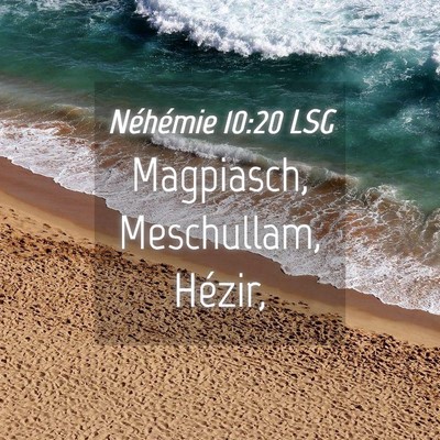 Picture 04 - Néhémie 10:20 LSG - Magpiasch, Meschullam, - Bible Verse Picture