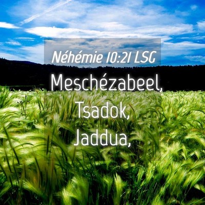 Picture 04 - Néhémie 10:21 LSG - Meschézabeel, Tsadok, - Bible Verse Picture