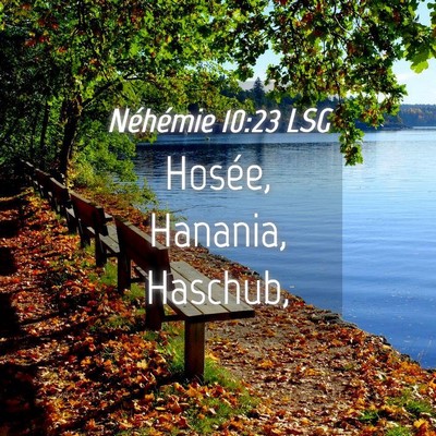 Picture 04 - Néhémie 10:23 LSG - Hosée, Hanania, - Bible Verse Picture