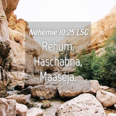 Picture 04 - Néhémie 10:25 LSG - Rehum, Haschabna, - Bible Verse Picture