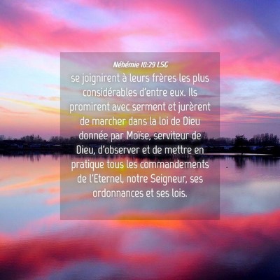 Picture 04 - Néhémie 10:29 LSG - se joignirent à leurs frères les plus - Bible Verse Picture