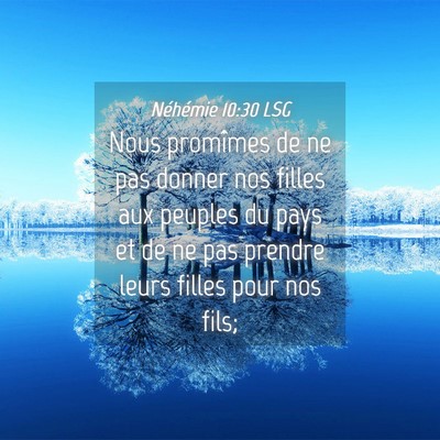 Picture 04 - Néhémie 10:30 LSG - Nous promîmes de ne pas donner nos filles aux - Bible Verse Picture