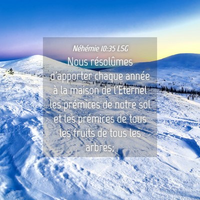 Picture 04 - Néhémie 10:35 LSG - Nous résolûmes d'apporter chaque année à la - Bible Verse Picture