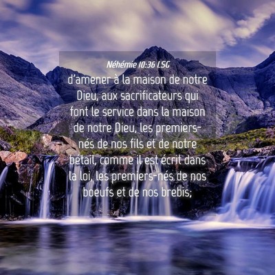 Picture 04 - Néhémie 10:36 LSG - d'amener à la maison de notre Dieu, aux - Bible Verse Picture