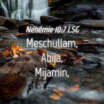 Picture 04 - Néhémie 10:7 LSG - Meschullam, Abija, - Bible Verse Picture