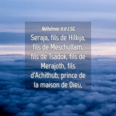 Picture 04 - Néhémie 11:11 LSG - Seraja, fils de Hilkija, fils de Meschullam, fils - Bible Verse Picture