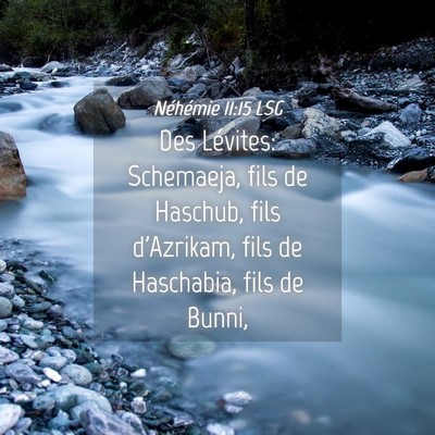Picture 04 - Néhémie 11:15 LSG - Des Lévites: Schemaeja, fils de Haschub, fils - Bible Verse Picture