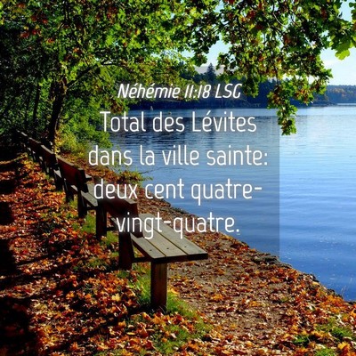 Picture 04 - Néhémie 11:18 LSG - Total des Lévites dans la ville sainte: deux - Bible Verse Picture