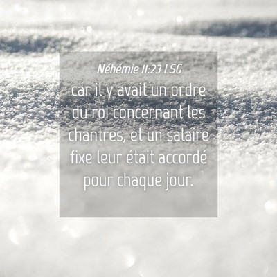 Picture 04 - Néhémie 11:23 LSG - car il y avait un ordre du roi concernant les - Bible Verse Picture