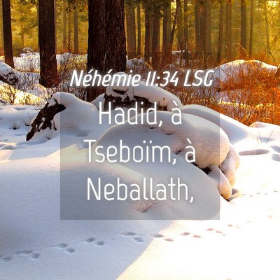 Picture 04 - Néhémie 11:34 LSG - Hadid, à Tseboïm, à - Bible Verse Picture