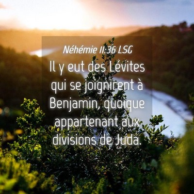 Picture 04 - Néhémie 11:36 LSG - Il y eut des Lévites qui se joignirent à - Bible Verse Picture