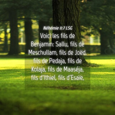 Picture 04 - Néhémie 11:7 LSG - Voici les fils de Benjamin: Sallu, fils de - Bible Verse Picture