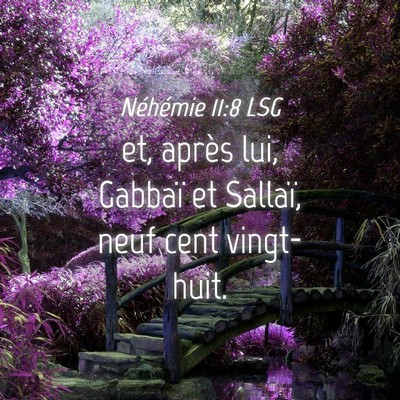 Picture 04 - Néhémie 11:8 LSG - et, après lui, Gabbaï et Sallaï, neuf cent - Bible Verse Picture