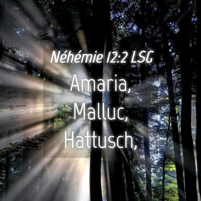 Picture 04 - Néhémie 12:2 LSG - Amaria, Malluc, - Bible Verse Picture