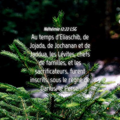 Picture 04 - Néhémie 12:22 LSG - Au temps d'Eliaschib, de Jojada, de Jochanan et - Bible Verse Picture