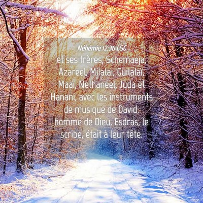 Picture 04 - Néhémie 12:36 LSG - et ses frères, Schemaeja, Azareel, Milalaï, - Bible Verse Picture