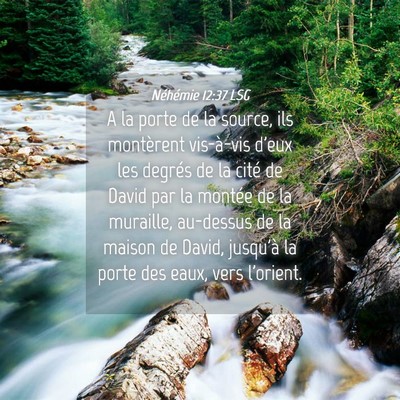 Picture 04 - Néhémie 12:37 LSG - A la porte de la source, ils montèrent - Bible Verse Picture
