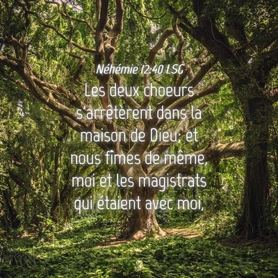 Picture 04 - Néhémie 12:40 LSG - Les deux choeurs s'arrêtèrent dans la maison de - Bible Verse Picture