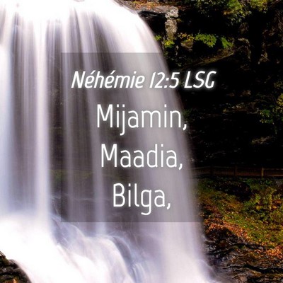Picture 04 - Néhémie 12:5 LSG - Mijamin, Maadia, - Bible Verse Picture