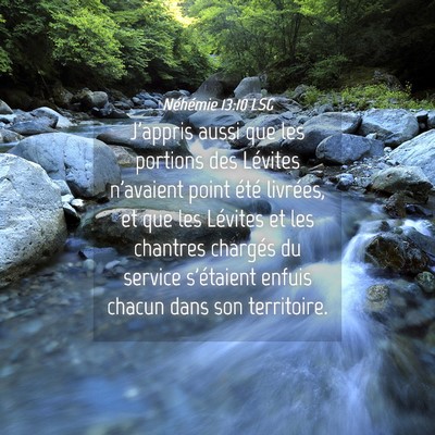 Picture 04 - Néhémie 13:10 LSG - J'appris aussi que les portions des Lévites - Bible Verse Picture