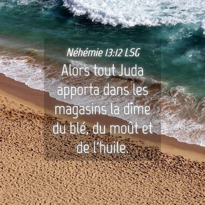 Picture 04 - Néhémie 13:12 LSG - Alors tout Juda apporta dans les magasins la - Bible Verse Picture