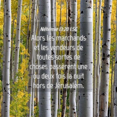 Picture 04 - Néhémie 13:20 LSG - Alors les marchands et les vendeurs de toutes - Bible Verse Picture