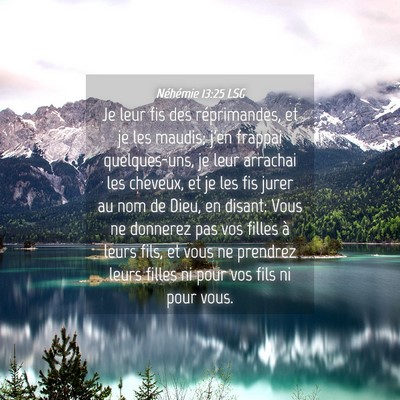 Picture 04 - Néhémie 13:25 LSG - Je leur fis des réprimandes, et je les maudis; - Bible Verse Picture