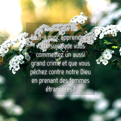 Picture 04 - Néhémie 13:27 LSG - Faut-il donc apprendre à votre sujet que vous - Bible Verse Picture