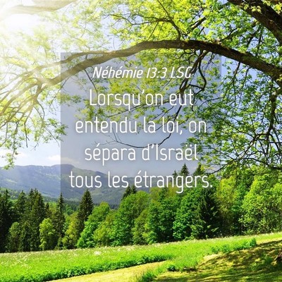 Picture 04 - Néhémie 13:3 LSG - Lorsqu'on eut entendu la loi, on sépara - Bible Verse Picture