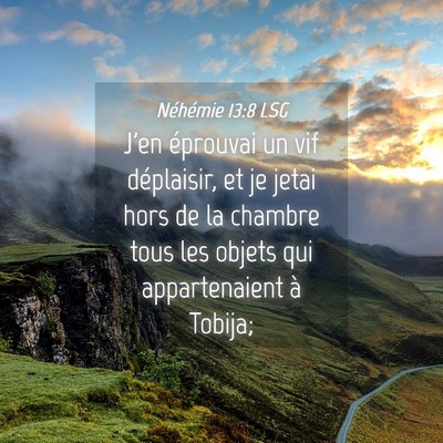 Picture 04 - Néhémie 13:8 LSG - J'en éprouvai un vif déplaisir, et je jetai - Bible Verse Picture