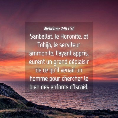 Picture 04 - Néhémie 2:10 LSG - Sanballat, le Horonite, et Tobija, le serviteur - Bible Verse Picture