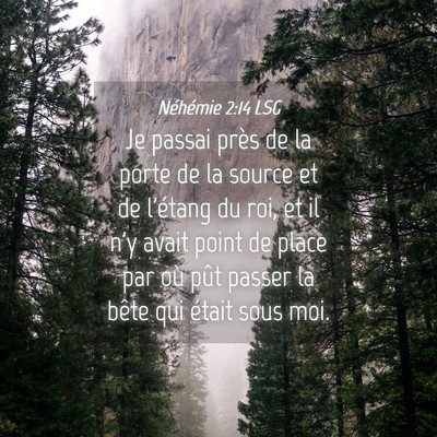 Picture 04 - Néhémie 2:14 LSG - Je passai près de la porte de la source et de - Bible Verse Picture