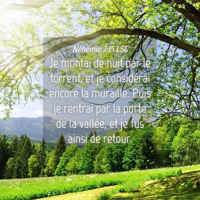 Picture 04 - Néhémie 2:15 LSG - Je montai de nuit par le torrent, et je - Bible Verse Picture