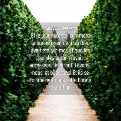 Picture 04 - Néhémie 2:18 LSG - Et je leur racontai comment la bonne main de mon - Bible Verse Picture
