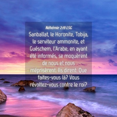 Picture 04 - Néhémie 2:19 LSG - Sanballat, le Horonite, Tobija, le serviteur - Bible Verse Picture