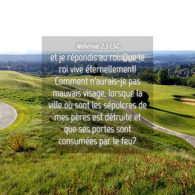 Picture 04 - Néhémie 2:3 LSG - et je répondis au roi: Que le roi vive - Bible Verse Picture