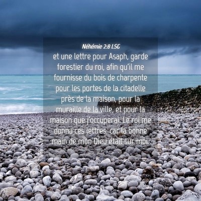Picture 04 - Néhémie 2:8 LSG - et une lettre pour Asaph, garde forestier du roi, - Bible Verse Picture