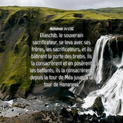 Picture 04 - Néhémie 3:1 LSG - Eliaschib, le souverain sacrificateur, se leva - Bible Verse Picture