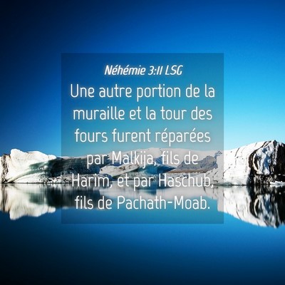Picture 04 - Néhémie 3:11 LSG - Une autre portion de la muraille et la tour des - Bible Verse Picture