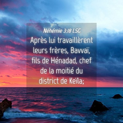 Picture 04 - Néhémie 3:18 LSG - Après lui travaillèrent leurs frères, Bavvaï, - Bible Verse Picture