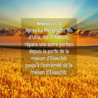 Picture 04 - Néhémie 3:21 LSG - Après lui Merémoth, fils d'Urie, fils - Bible Verse Picture